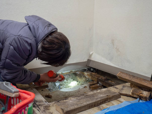 Best Industrial Mold Remediation  in Forks, WA