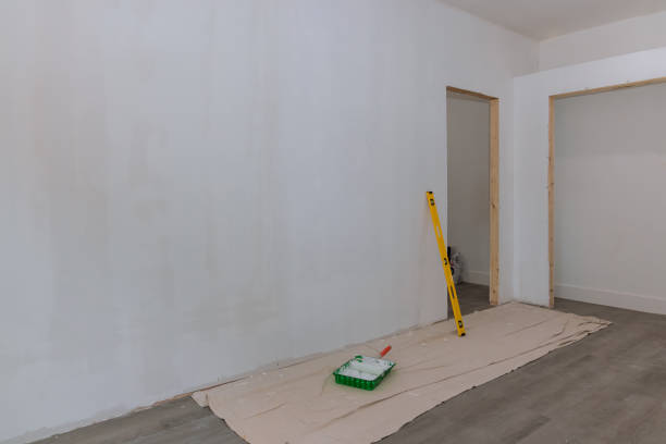 Best Basement Mold Removal  in Forks, WA