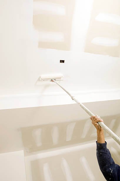 Best Black Mold Removal  in Forks, WA