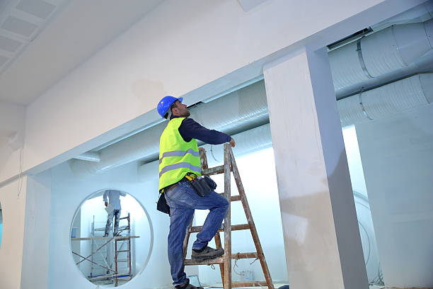 Forks, WA Mold Removal Company