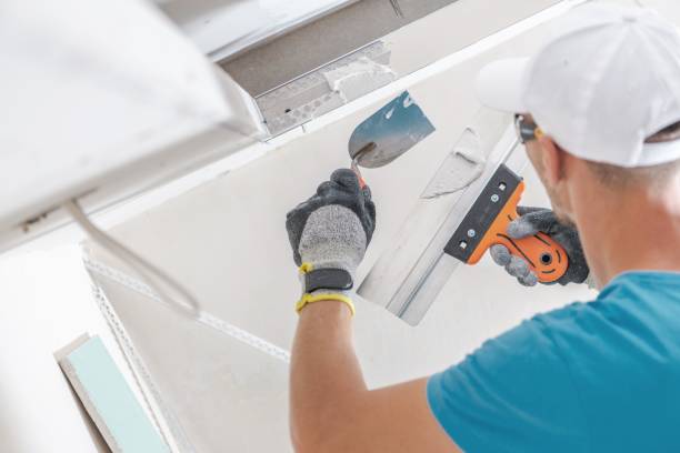  Forks, WA Mold Removal Pros